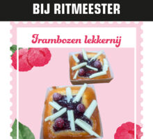 A1 Ritmeester framboos (003).jpg