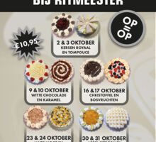 Vlaaienfestival
